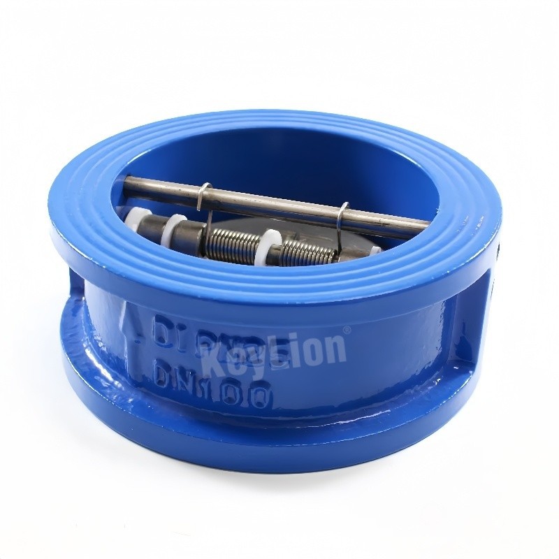 Dual Plate Check Valve