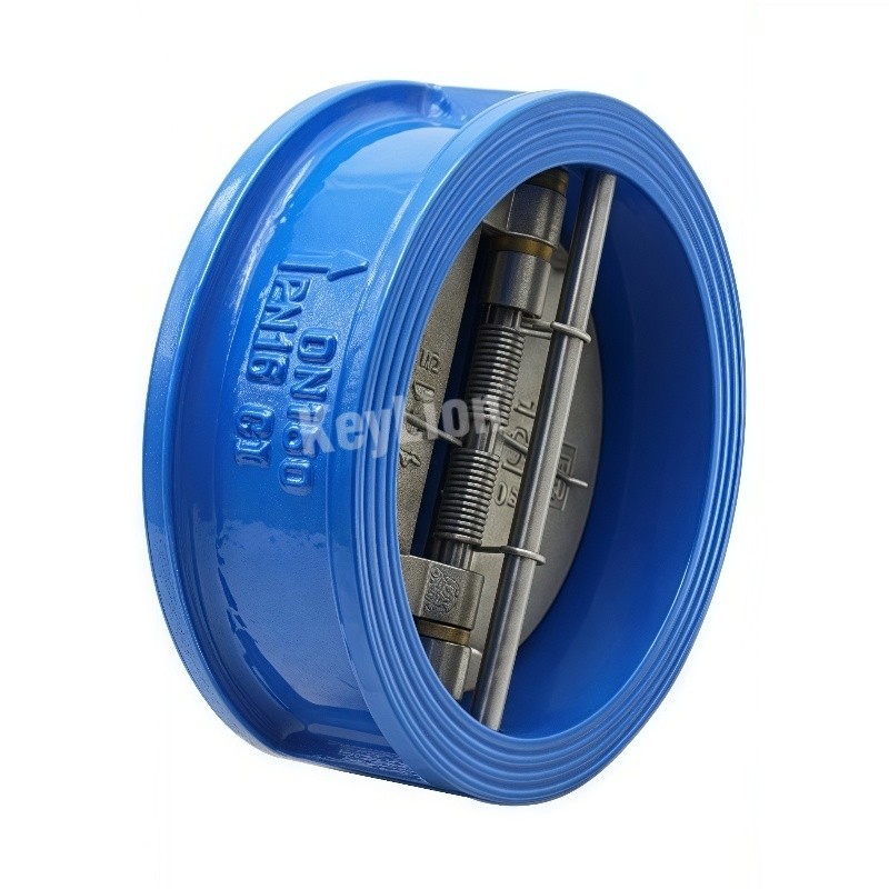 Dual Plate Check Valve