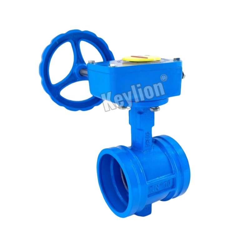 Fire Protection Butterfly Valves