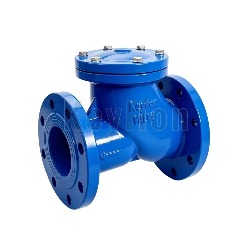 Flange boul chèk valv