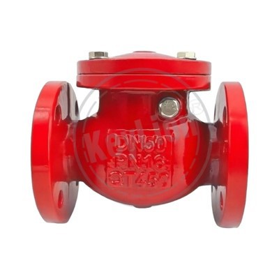 100mm balanse valv chèk