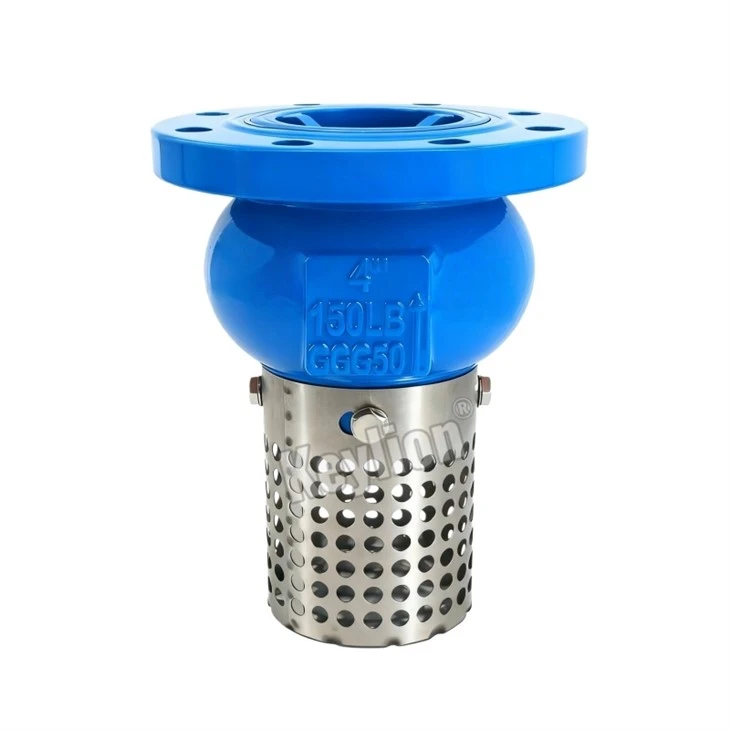 Ductile Iron Flanged Gate Valv