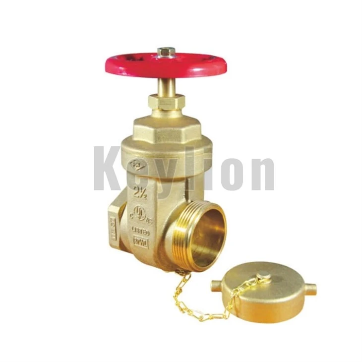 Rezilyan Chita Flange Gate Valv